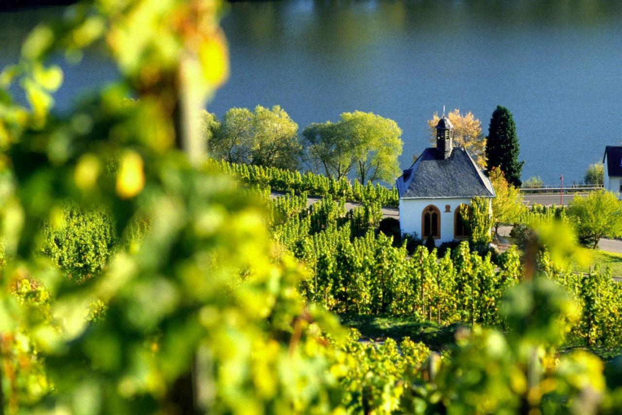 Weingut Christoffel Apartment Kovenig Exterior photo